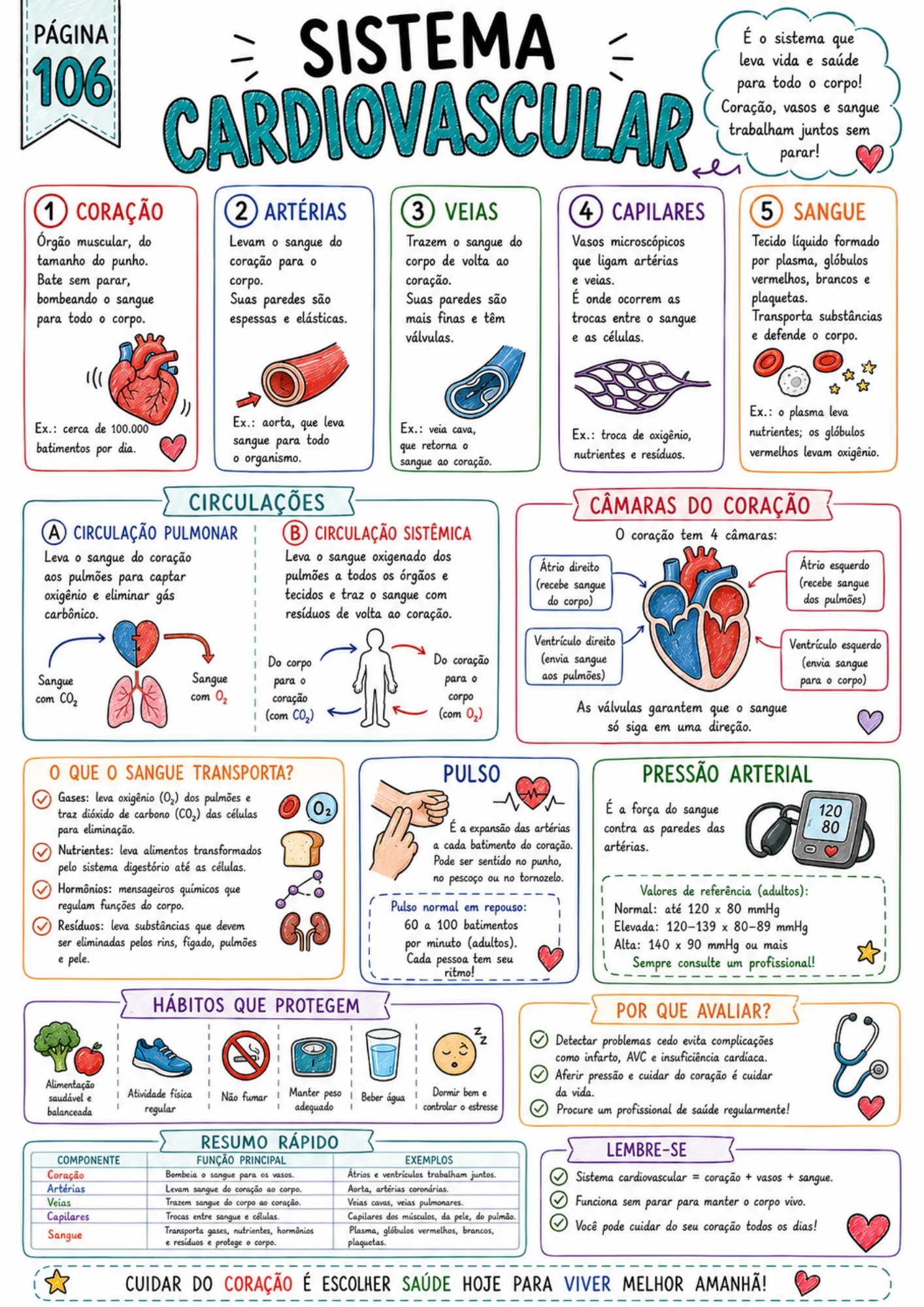 Página de resumo visual